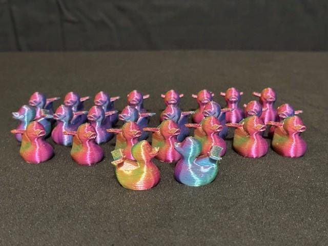 Multicolored Cruise Ducks