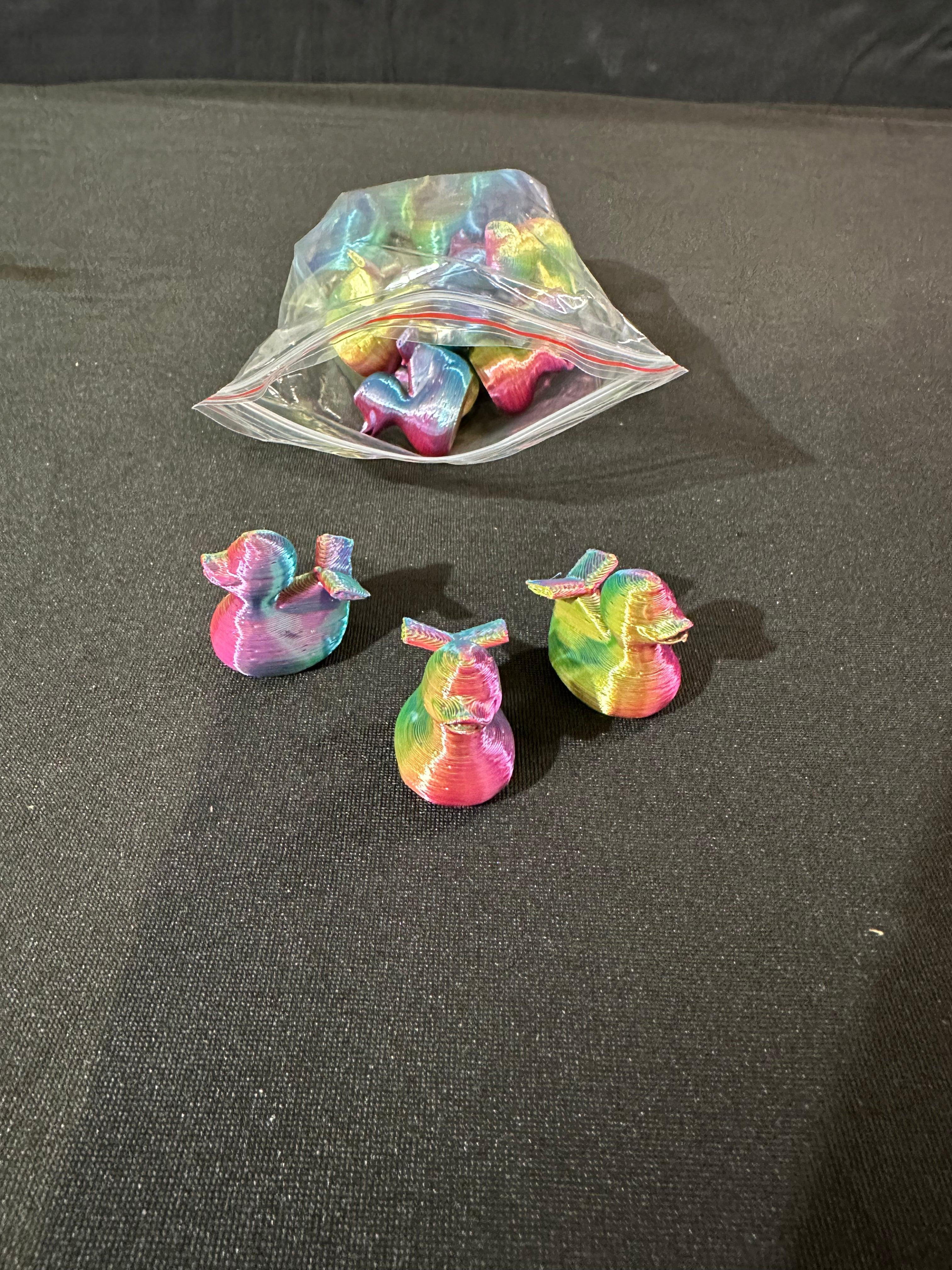 Rainbow Cruise Ducks