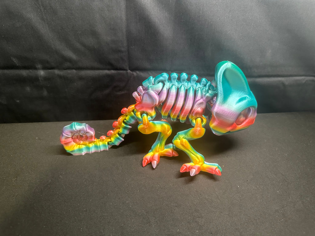 Rainbow Chamaeleon