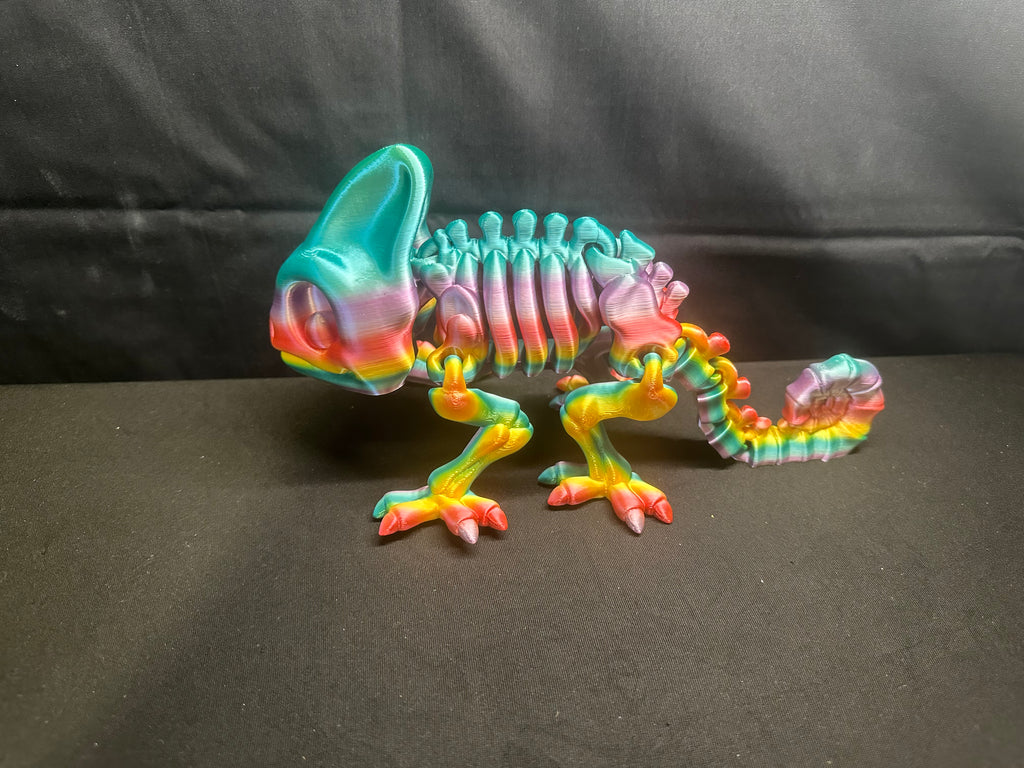 Rainbow Chamaeleon