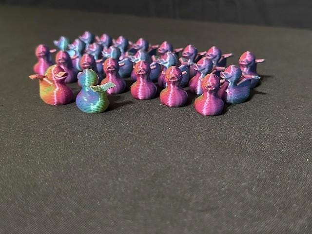 Multicolored Cruise Ducks